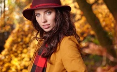 狂飙40全集免费观看